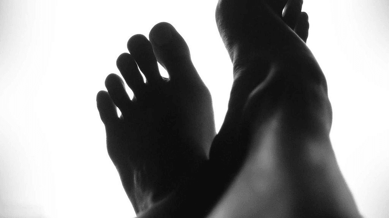 Bird - professional stock photography