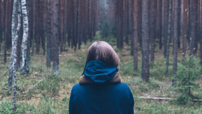 Cat - professional stock photography