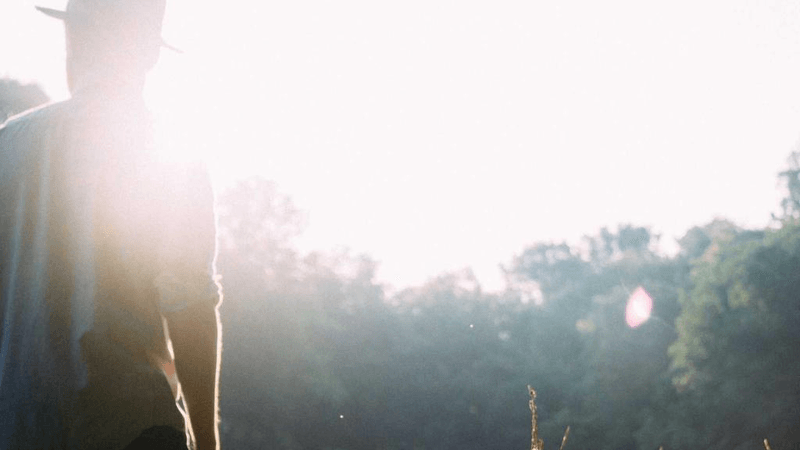 Cat - professional stock photography