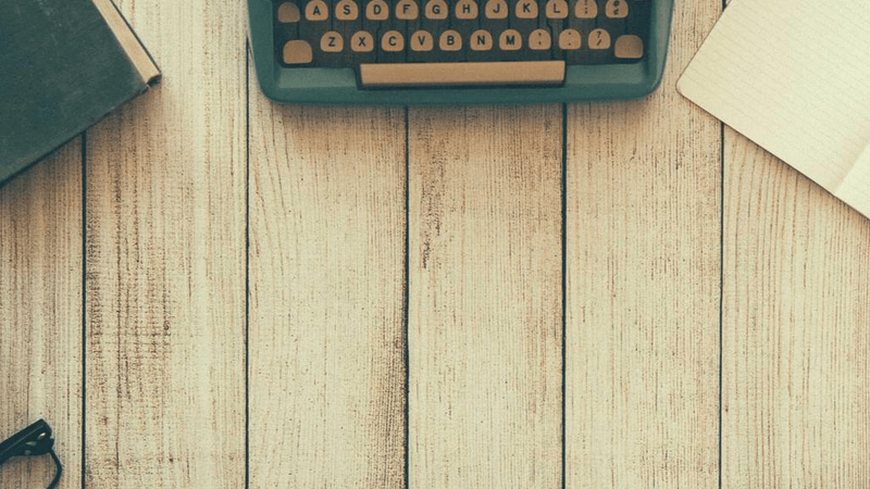 Cat - professional stock photography