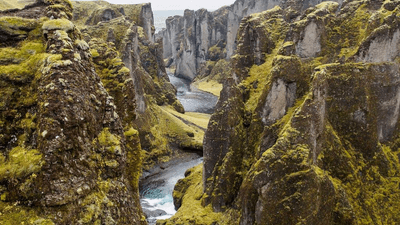 Corgi - professional stock photography