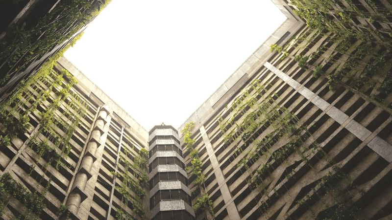 Corgi - professional stock photography