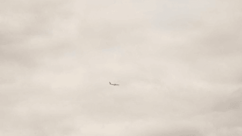 Corgi - professional stock photography