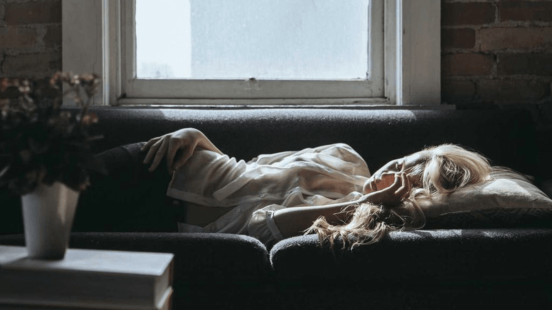 Dog - professional stock photography