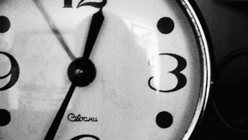 Fish - professional stock photography