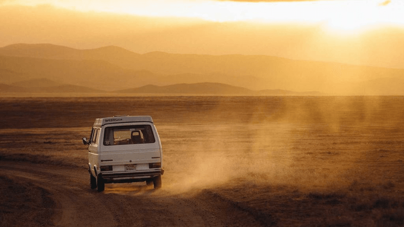 Goldfish - professional stock photography