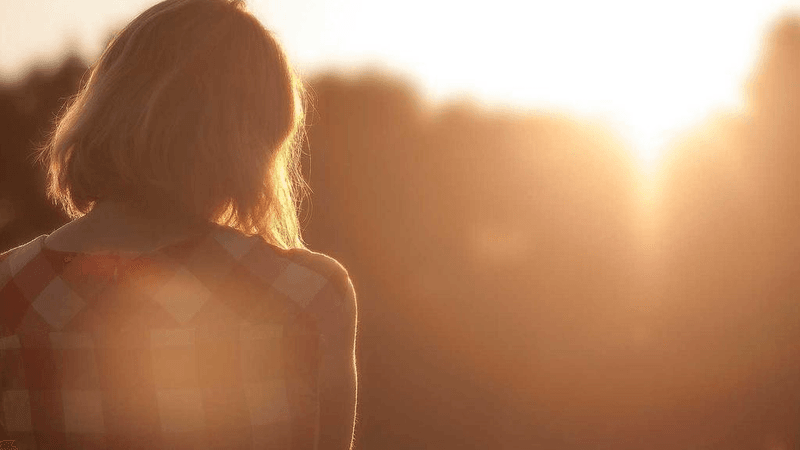 Hamster - professional stock photography