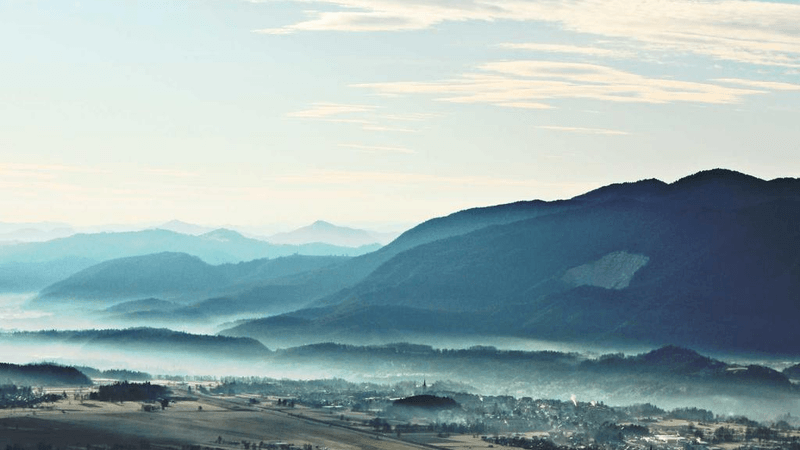 Husky - professional stock photography