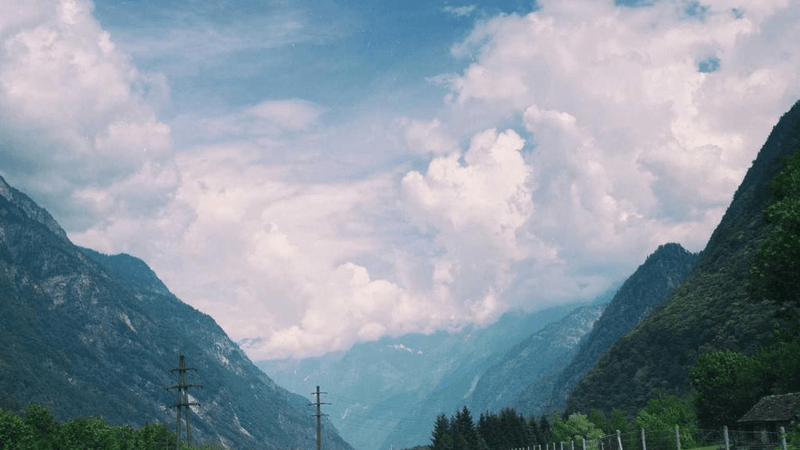 Husky - professional stock photography