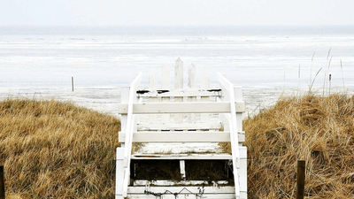 Husky - professional stock photography