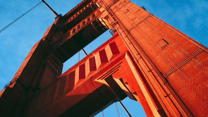 Husky - professional stock photography