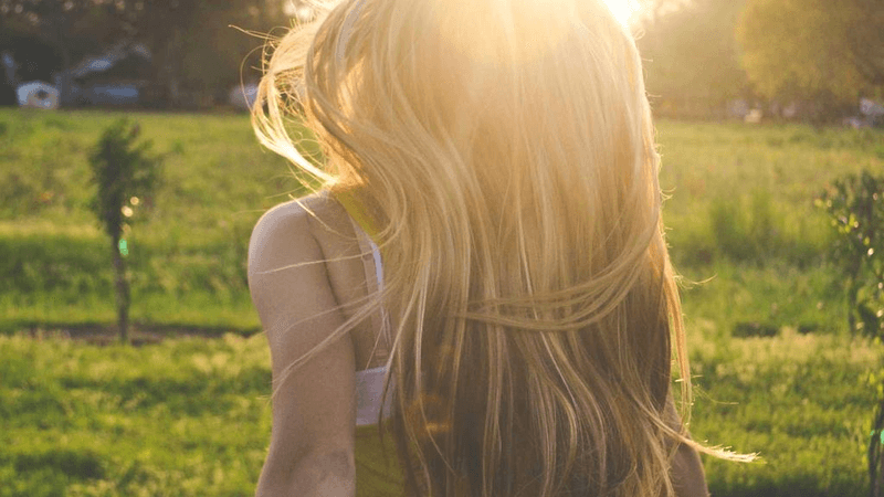 Husky - professional stock photography