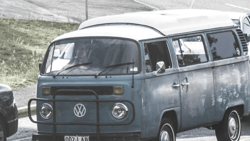 Kitten - professional stock photography