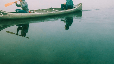 Kitten - professional stock photography