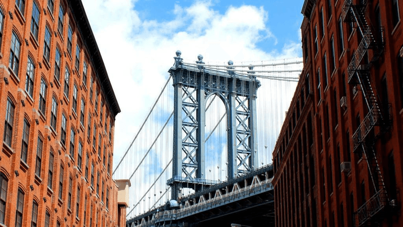 Kitten - professional stock photography