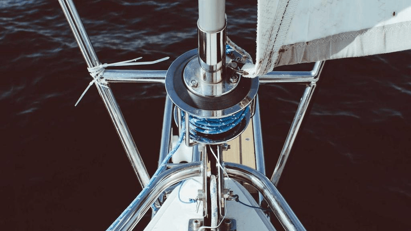 Labrador - professional stock photography