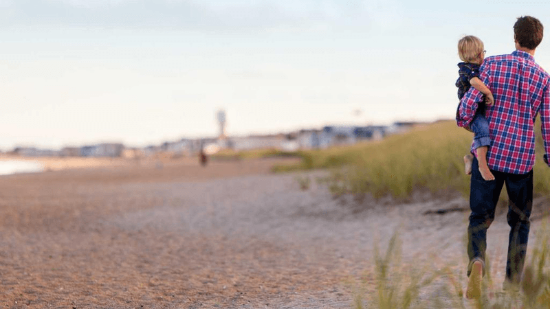Labrador - professional stock photography