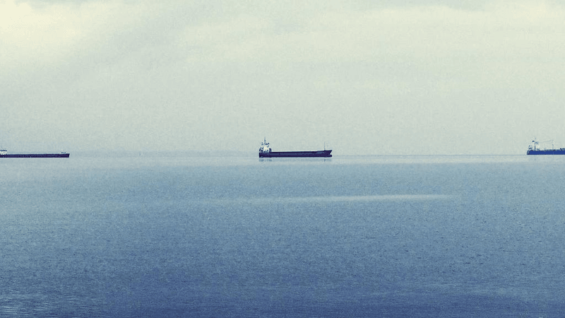 Labrador - professional stock photography