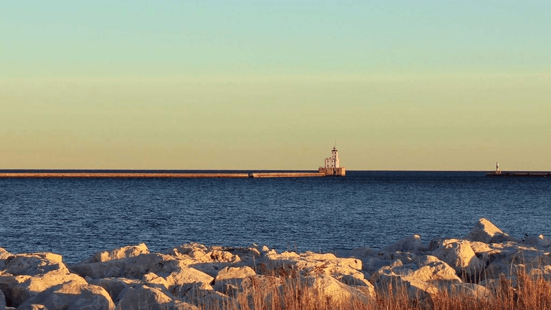 Parrot - professional stock photography
