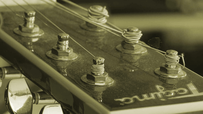 Poodle - professional stock photography