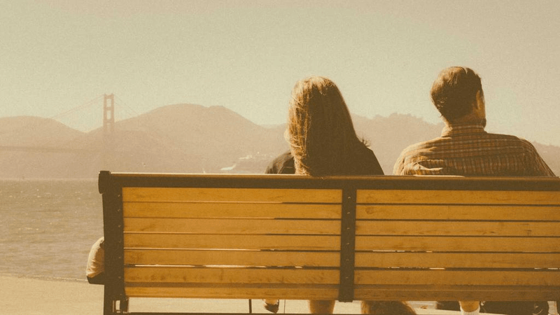 Puppy - professional stock photography