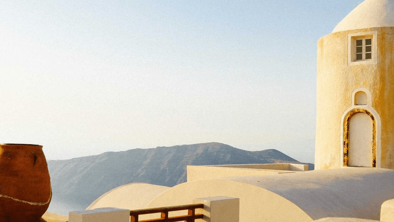 Puppy - professional stock photography