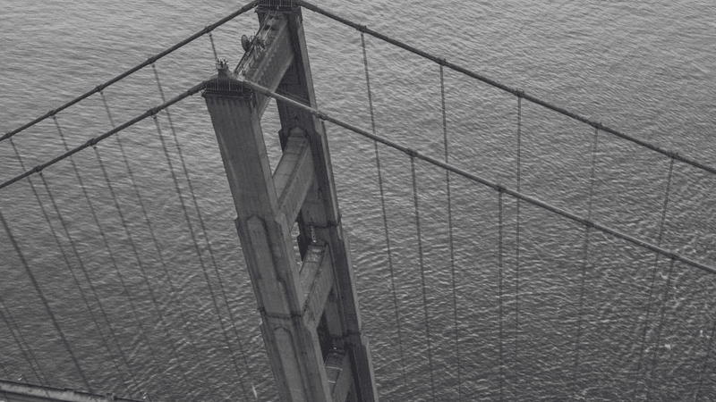 Rabbit - professional stock photography