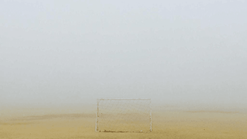 Rabbit - professional stock photography