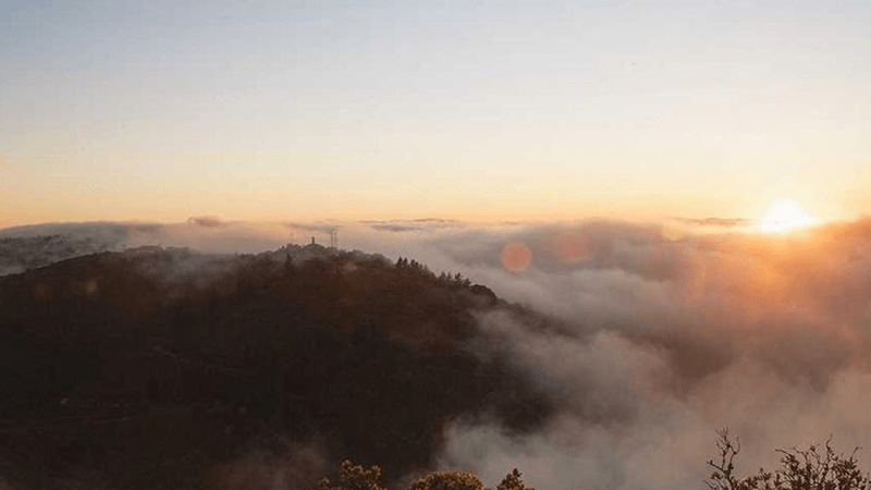 Rabbit - professional stock photography