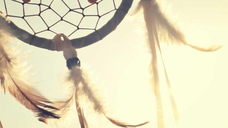 Rabbit - professional stock photography