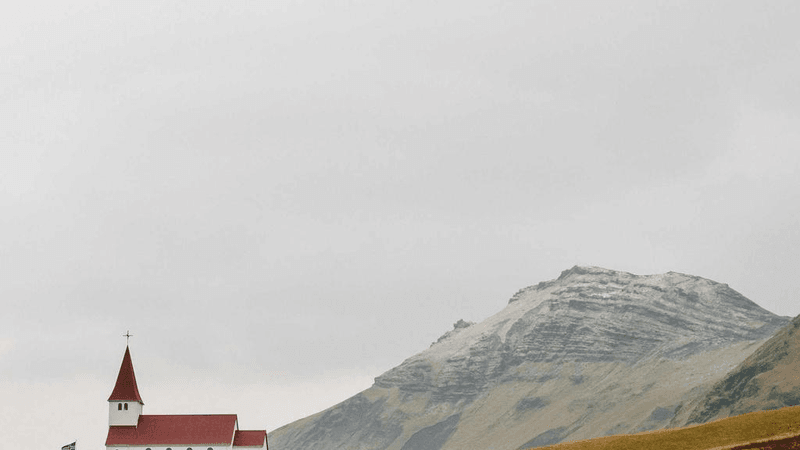 Rabbit - professional stock photography