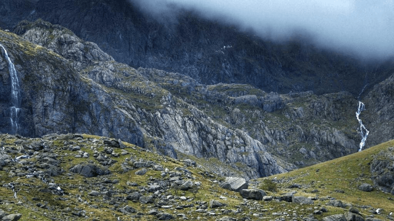 Turtle - professional stock photography